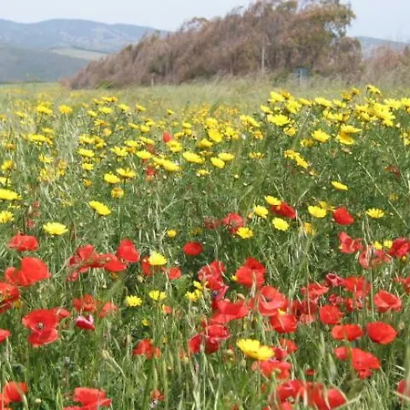 아파트 Alghero, Casa Di Roberto