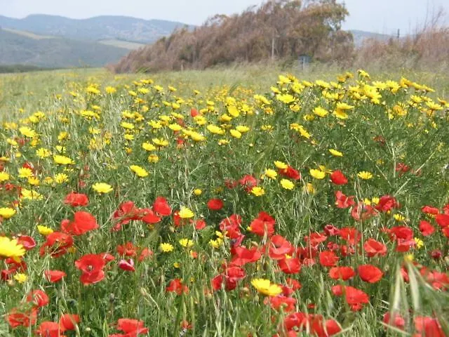 Appartement Alghero, Casa Di Roberto